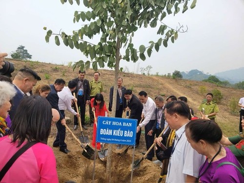 Kiều bào dâng hương, tri ân tại các di tích lịch sử cách mạng ở Tuyên Quang - ảnh 3