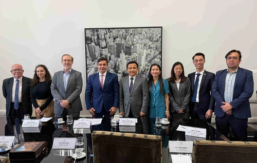 Thúc đẩy tiềm năng hợp tác Việt Nam -Brazil - ảnh 1