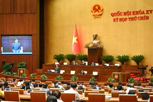 Hôm nay, Quốc hội thảo luận dự thảo sửa đổi Luật Các tổ chức tín dụng và Luật quốc tịch Việt Nam - ảnh 1