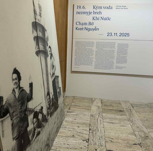 Triển lãm “Khi nước chạm bờ” - Hành trình nghệ thuật, bản sắc và ký ức - ảnh 5