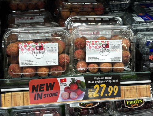 Vải thiều Việt Nam: Hành trình đưa hương vị quê hương tới Malaysia - ảnh 4