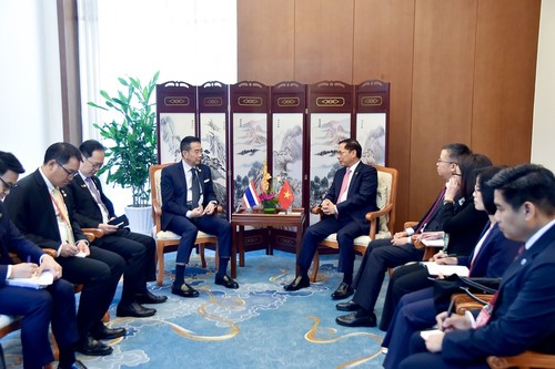 Hoạt động của Phó Thủ tướng, Bộ trưởng Ngoại giao Bùi Thanh Sơn bên lề Hội nghị MLC - ảnh 2