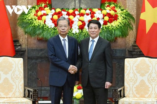 Chủ tịch nước Lương Cường tiếp Ủy viên trưởng Nhân đại toàn quốc Trung Quốc Triệu Lạc Tế - ảnh 1