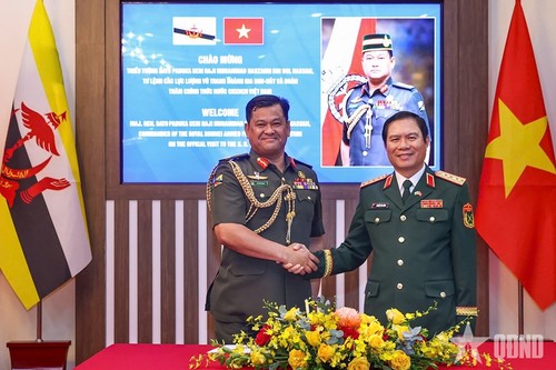 Tổng Tham mưu trưởng Quân đội nhân dân Việt Nam hội đàm với Tư lệnh Quân đội Hoàng gia Brunei - ảnh 1