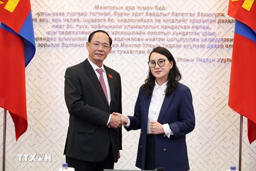 Thúc đẩy quan hệ hữu nghị truyền thống Việt Nam - Mông Cổ đi vào chiều sâu, thực chất - ảnh 3