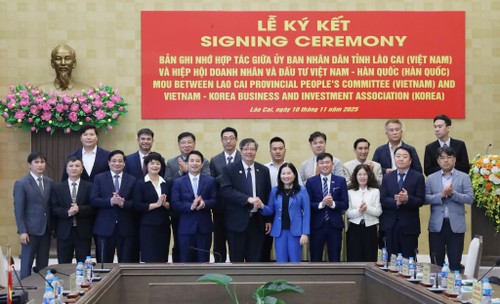 Kiều bào chung tay góp sức dựng xây đất nước: Hành trình trí tuệ và tự hào dân tộc hướng tới Đại hội Đảng lần thứ XIV - ảnh 3