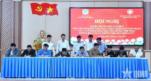 Đà Nẵng, Hải Phòng đẩy mạnh tuyên truyền pháp luật chống khai thác IUU cho ngư dân - ảnh 2