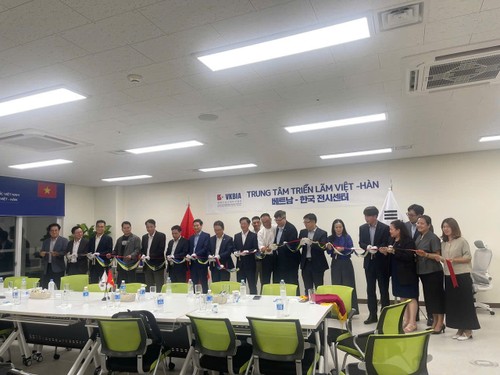 Huy động trí tuệ Việt Nam toàn cầu góp phần xây dựng đất nước - ảnh 4