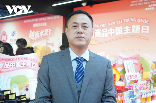 Đưa hàng Việt tiến sâu vào thị trường Trung Quốc - ảnh 2