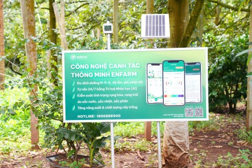 Nông nghiệp chuyển đổi số, chuyển đổi xanh trong bối cảnh mới - ảnh 4