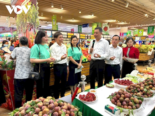 Xuất khẩu nông sản của Sơn La năm 2025 đạt hơn 218 triệu USD, tăng gần 15% so với năm 2024 - ảnh 1