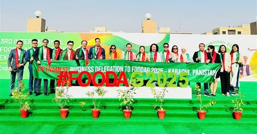 Kiều bào: Nguồn lực quý báu trong hành trình phát triển đất nước - ảnh 3