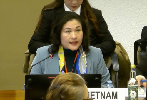 Việt Nam bảo vệ thành công Báo cáo quốc gia lần thứ 9 về thực thi Công ước CEDAW - ảnh 1