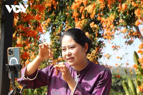 Chuyển đổi số: đòn bẩy để nông sản Gia Lai vươn xa - ảnh 2