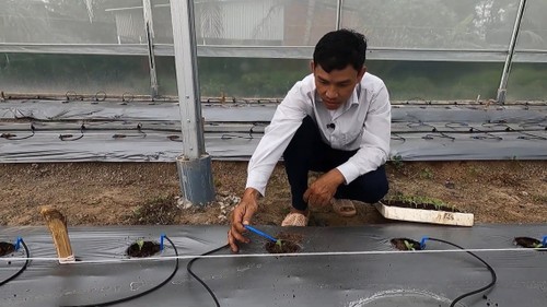 Số hóa nông nghiệp - con đường làm giàu từ ruộng vườn quê hương - ảnh 2