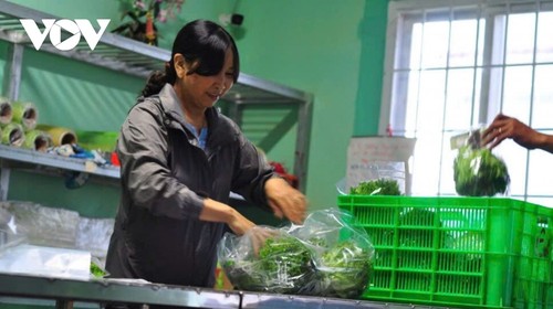 Bước tiến lớn cho vùng trọng điểm nông nghiệp Đơn Dương (Lâm Đồng) - ảnh 3