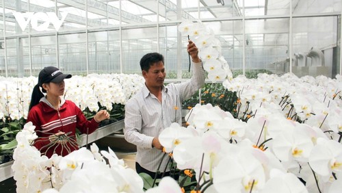 Bước tiến lớn cho vùng trọng điểm nông nghiệp Đơn Dương (Lâm Đồng) - ảnh 4