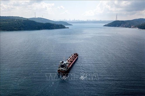 Turkey pushes talks with Russia on Black Sea grain deal - ảnh 1