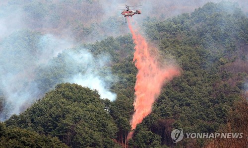 37 injured in South Korea wildfires - ảnh 1