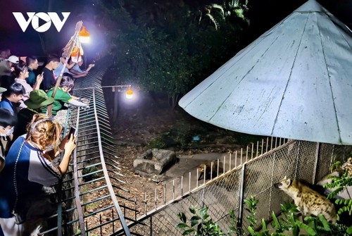 Sai Gon Zoo operates tour of nocturnal wildlife - ảnh 1