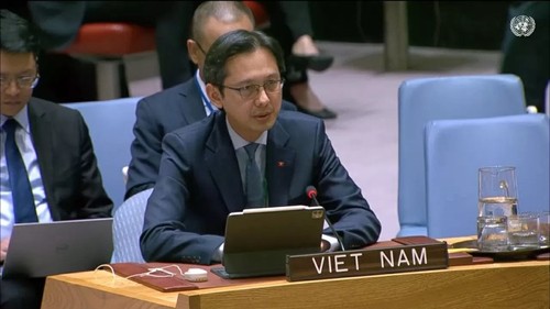 Vietnam pledges commitment to upholding global peace  - ảnh 1