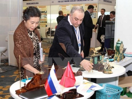 В Ханое проходит 1-я российско-вьетнамская промышленная выставка «Expo-Russia Vietnam 2015» - ảnh 1