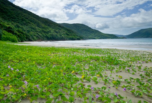 ไปเยือนเกาะกงดอ - ảnh 3