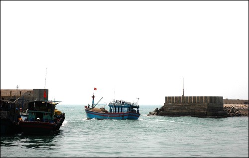 เกาะBạch Long Vĩ - ảnh 11