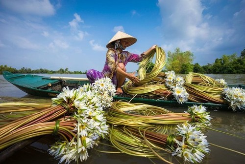 ภาพถ่าย๒๕ภาพเกี่ยวกับความสวยงามของเวียดนาม - ảnh 7