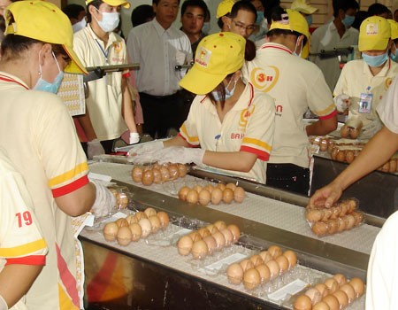 ประสิทธิภาพของโครงการเชื่อมโยงระหว่างธนาคารกับสถานประกอบการในนครโฮจิมินห์ - ảnh 1