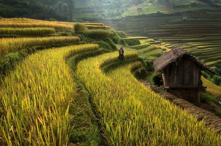 ภาพถ่ายเกี่ยวกับความสวยงามของเวียดนามในการประกวดภาพถ่ายนานาชาติ(ตอนที่๑) - ảnh 8