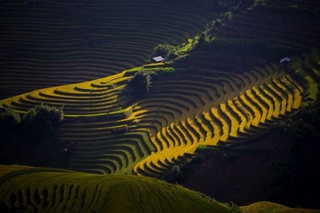 ภาพถ่ายเกี่ยวกับความสวยงามของเวียดนามในการประกวดภาพถ่ายนานาชาติ(ตอนที่๒) - ảnh 3