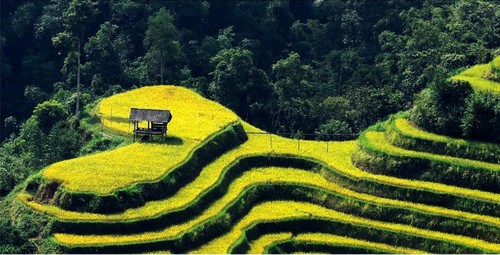 ความสวยงามของอำเภอหว่างซูฝี่จังหวัดห่ายาง - ảnh 4