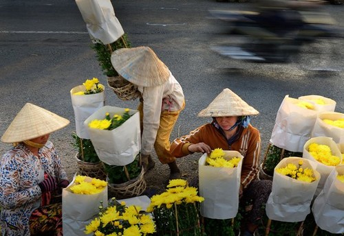 หมู่บ้านดอกไม้ซาแด๊กดึงดูดใจนักท่องเที่ยวในโอกาสเทศกาลตรุษเต๊ต - ảnh 3