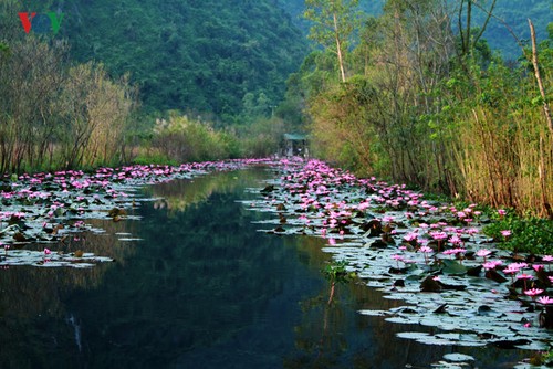 ความสวยงามของลำธารเอี๊ยนช่วงหน้าหนาว - ảnh 1