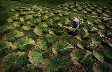 ภาพถ่ายเกี่ยวกับความสวยงามของเวียดนาม - ảnh 3