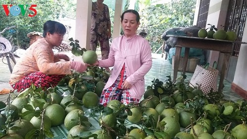 การเปลี่ยนแปลงใหม่ในจังหวัดเบ๊นแจเมื่อปฏิบัติโครงการสร้างสรรค์ชนบทใหม่ - ảnh 1