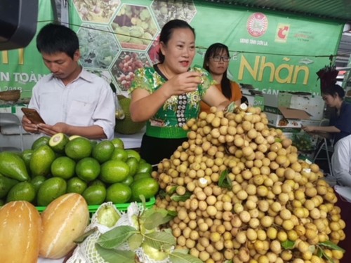 ท้องถิ่นต่างๆผลักดันการปฏิบัติมติ01ของรัฐบาล - ảnh 2