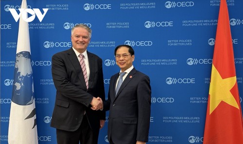 OECD ให้คำมั่นที่จะช่วยเหลือเวียดนามในการเปลี่ยนแปลงใหม่รูปแบบการขยายตัว - ảnh 1