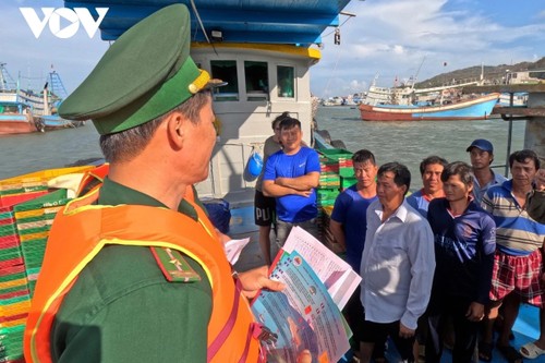 จังหวัดบ่าเหรียะ-หวุงเต่าปฏิบัติงานด้านการควบคุมการทำประมงแบบ IUU อย่างเคร่งครัด - ảnh 1