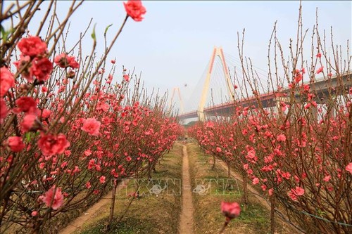 รายการตอบจดหมายท่านผู้ฟังวันที่ 11 มกราคม - ảnh 2