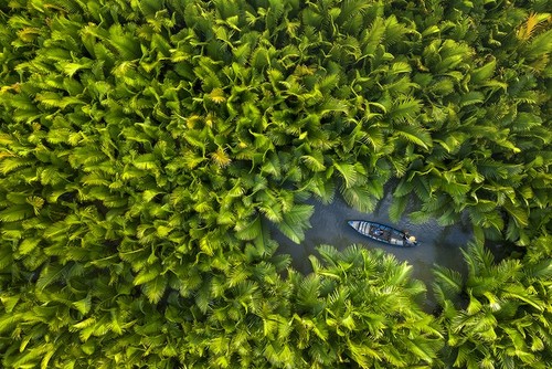 ช่างภาพ แค้งฟาน มีส่วนช่วยแนะนำความงามของเวียดนามต่อเพื่อนมิตรชาวต่างชาติ - ảnh 8