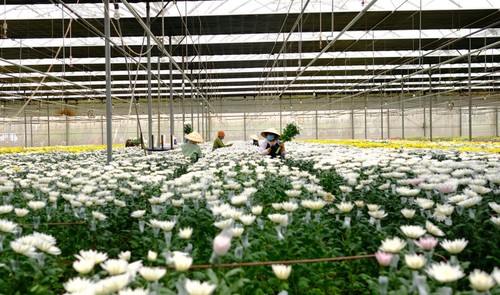 รายการตอบจดหมายท่านผู้ฟังวันที่ 13 ธันวาคม - ảnh 3