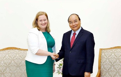 Vietnam treasures ties with Ireland: PM - ảnh 1