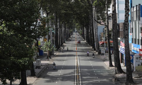 HCMC to launch mental health care program amid lockdown - ảnh 1