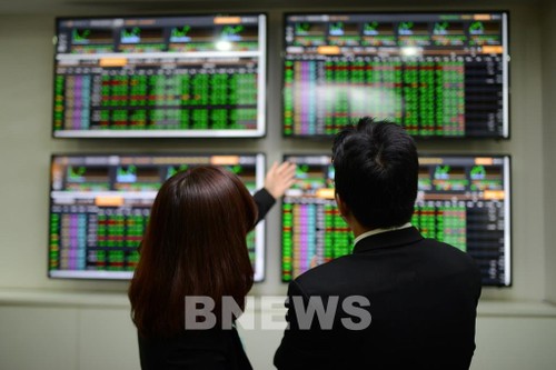 Vietnam eyes improving  stock market’s quality - ảnh 1