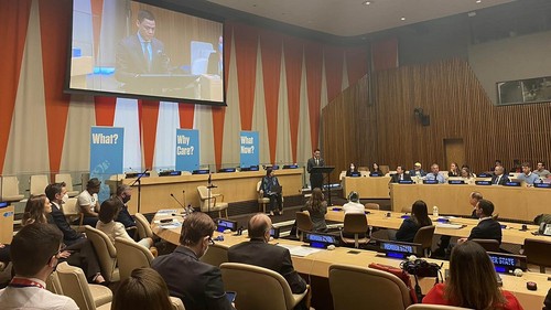 Vietnam appreciates international support for mine action - ảnh 1