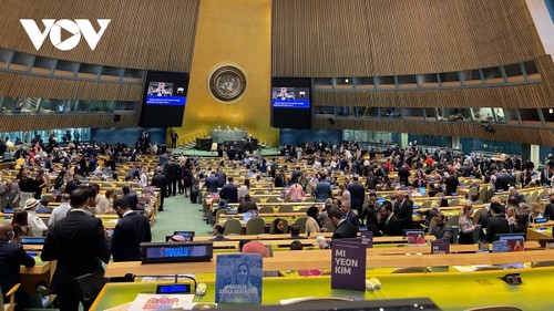 Vietnam ensures rights, interests of persons with disabilities - ảnh 1