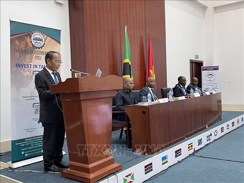 Vietnamese, Tanzanian businesses bolster cooperation - ảnh 1