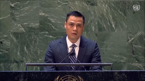 Vietnam calls for stronger international efforts in disarmament, non-proliferation - ảnh 1